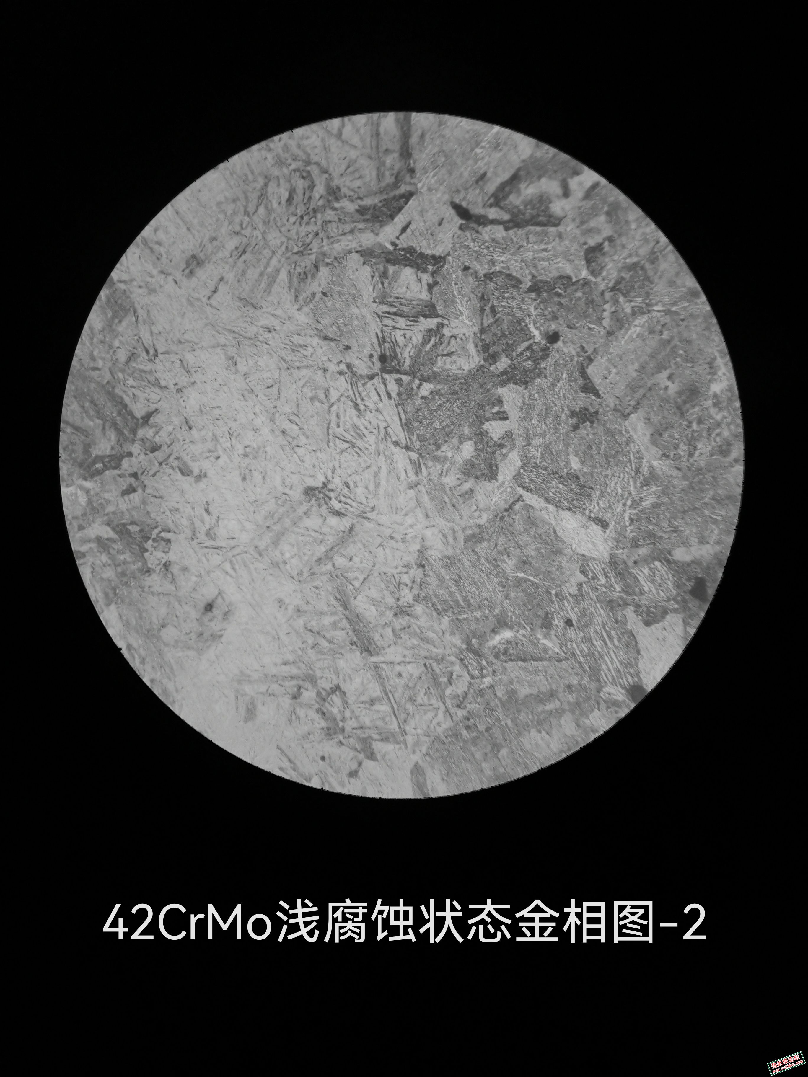 42CrMo浅腐蚀状态金相图-2.jpg