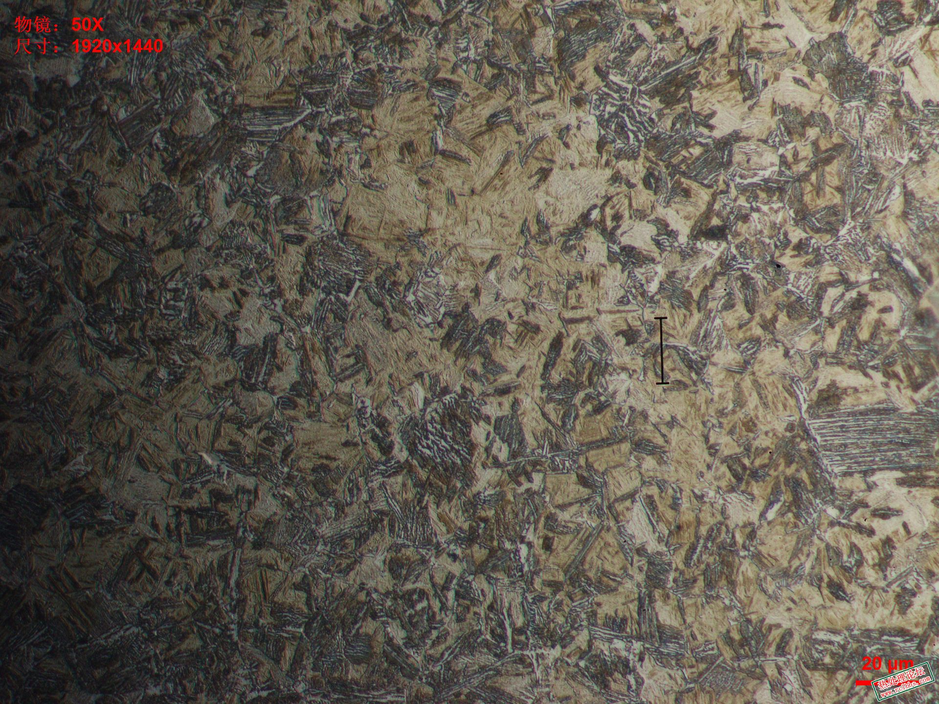 1-500X-2 9.5mm half martensite.JPG
