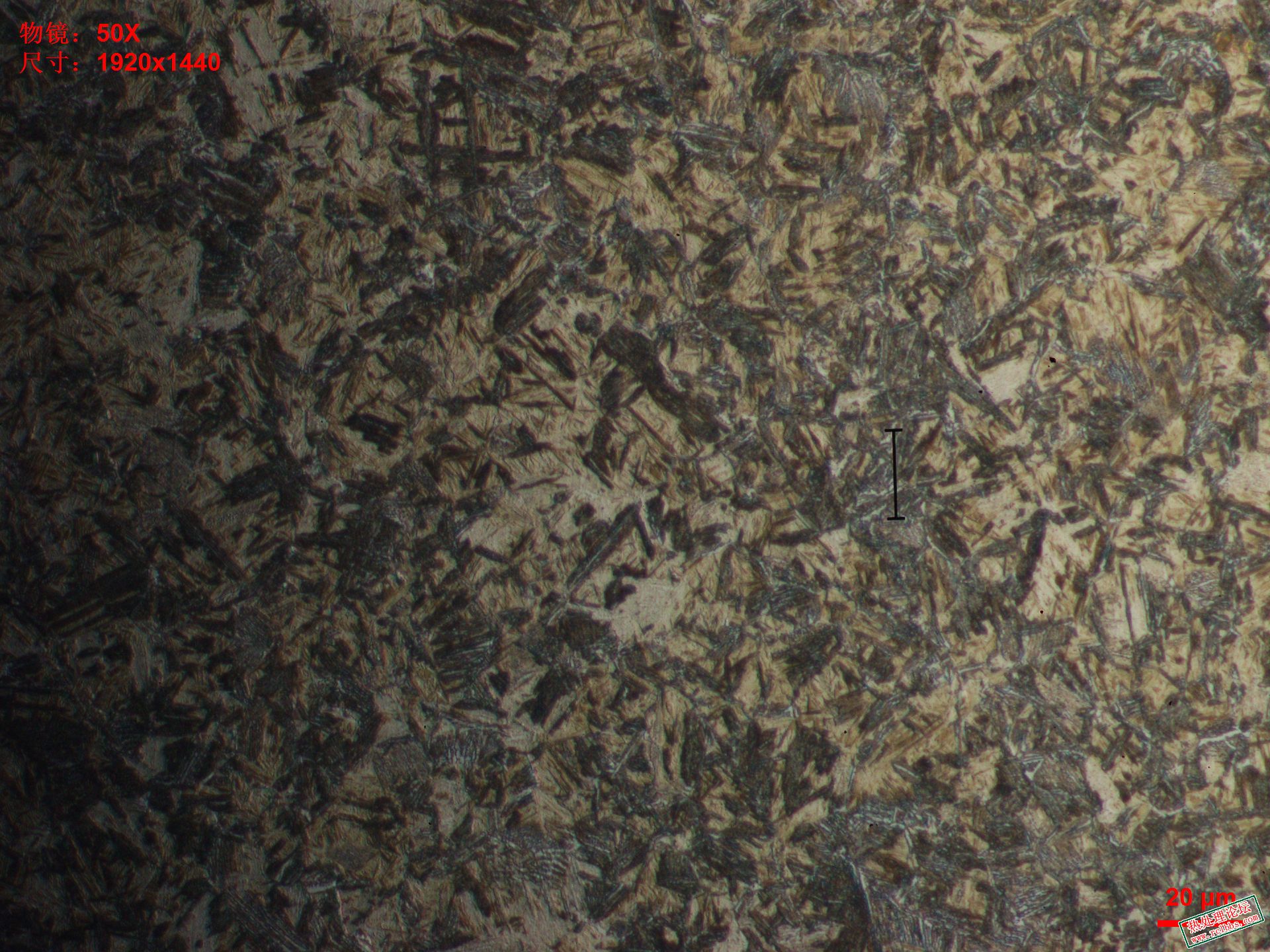 quenched 2-500X-2 5mm half martinsite.JPG