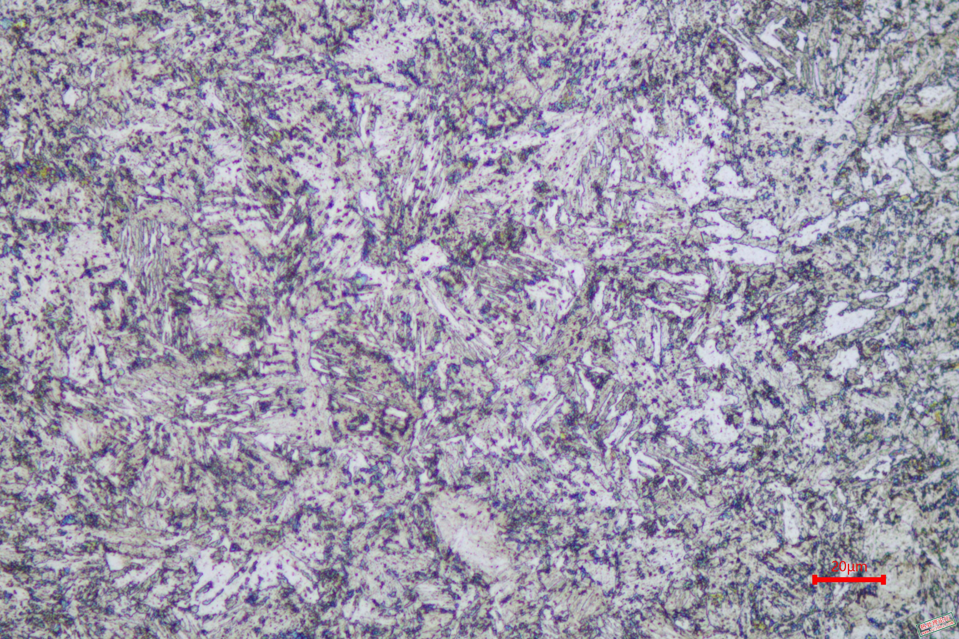 220401-500.jpg