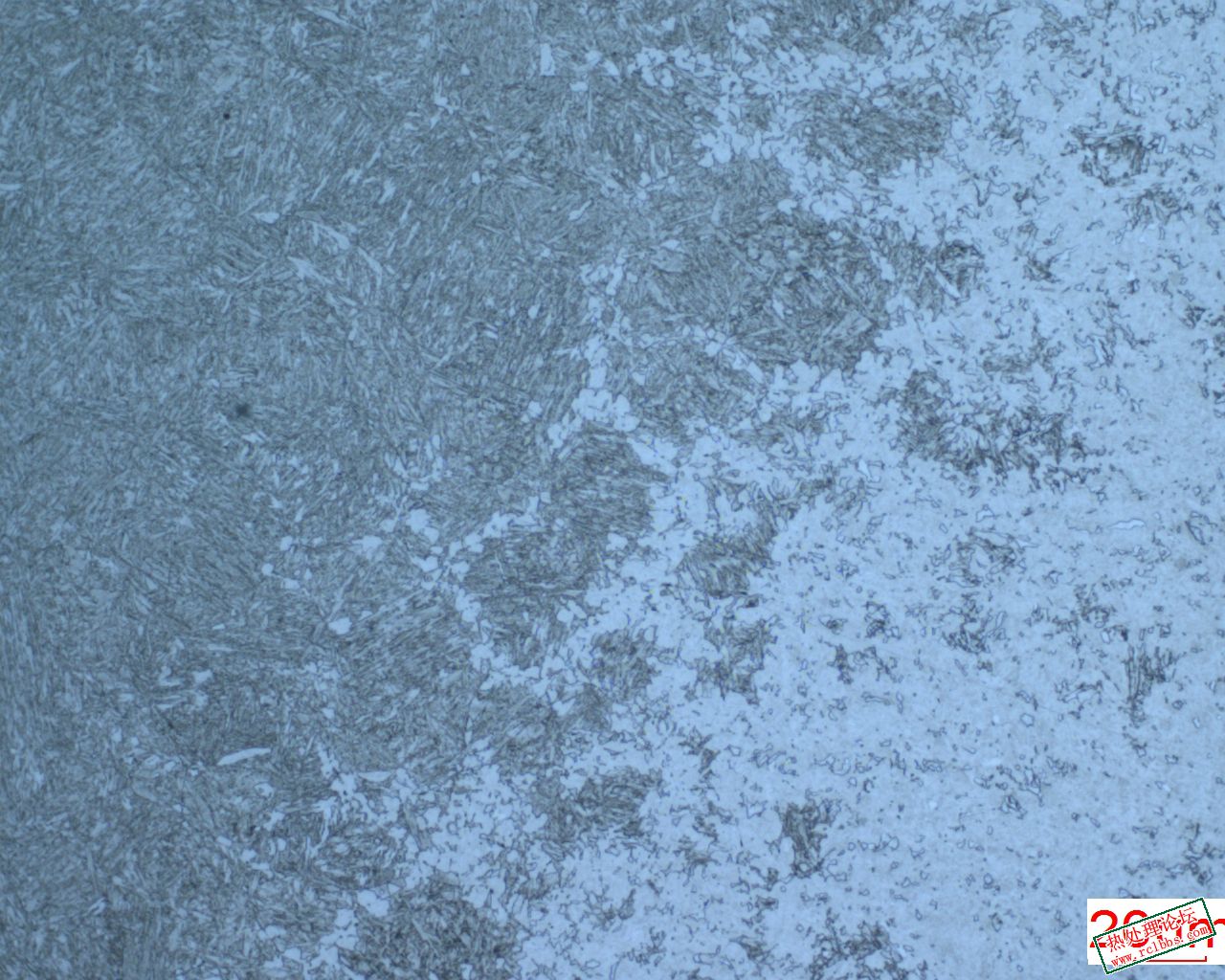 2302201326298766342l20758.jpg