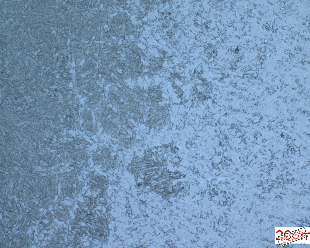 2302201328278884381l13008.jpg