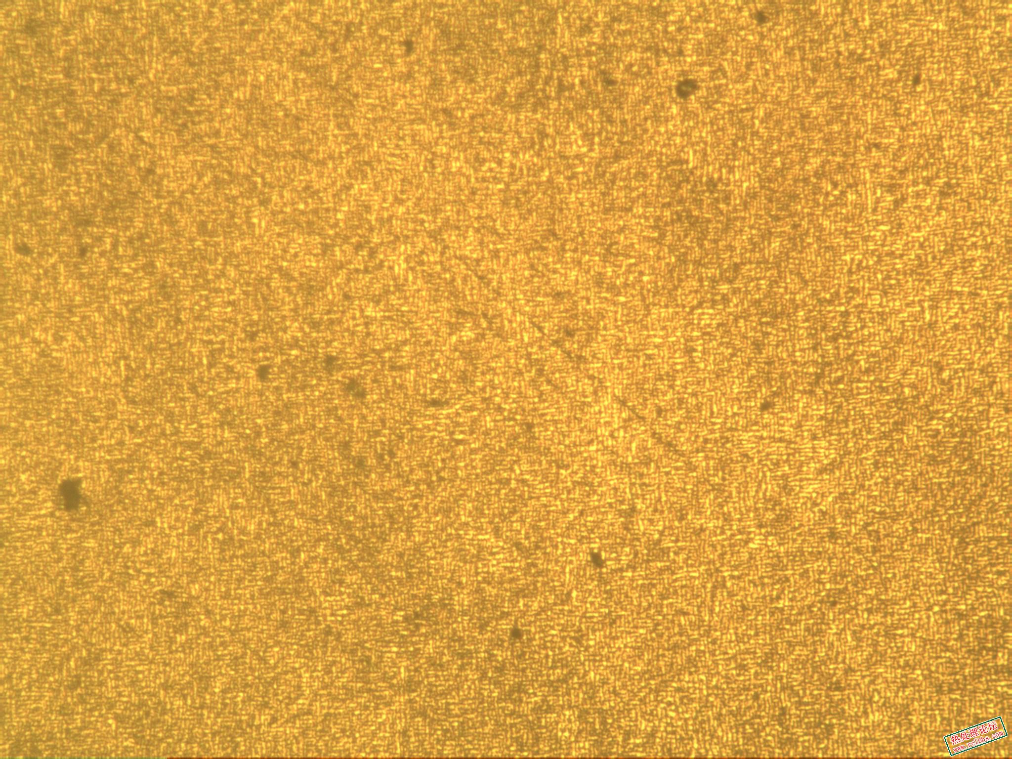 淬火+480℃回火 100X