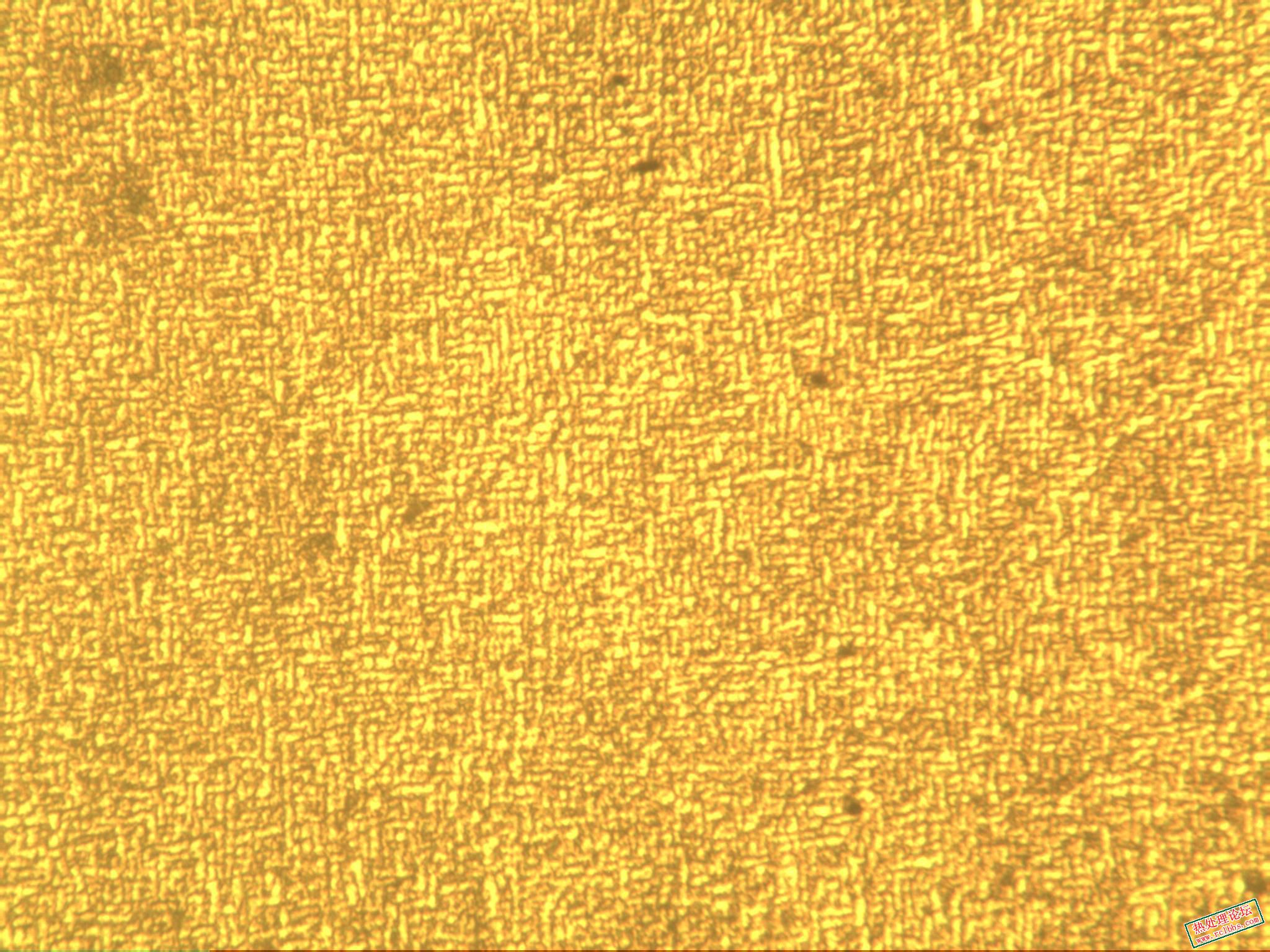 淬火+480℃回火 200X