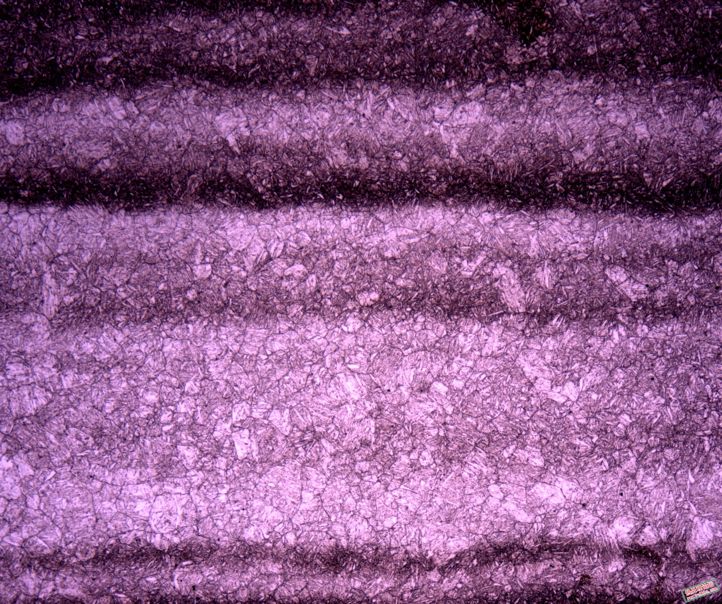 mmexport1676993290314.jpg