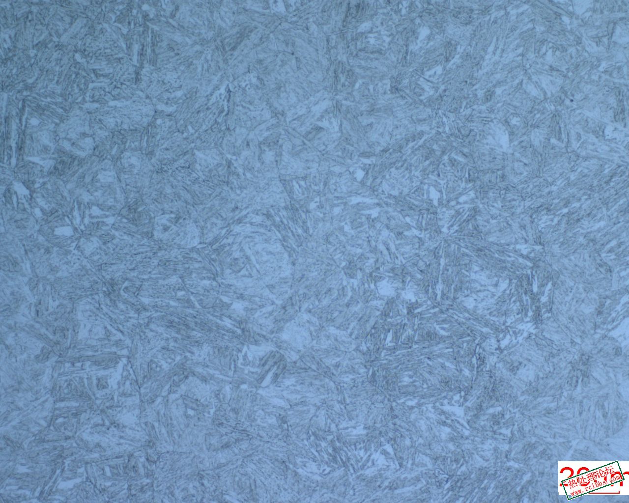 2212261446485750127l1469   芯部 500X.jpg