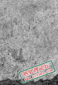 论坛1.jpg