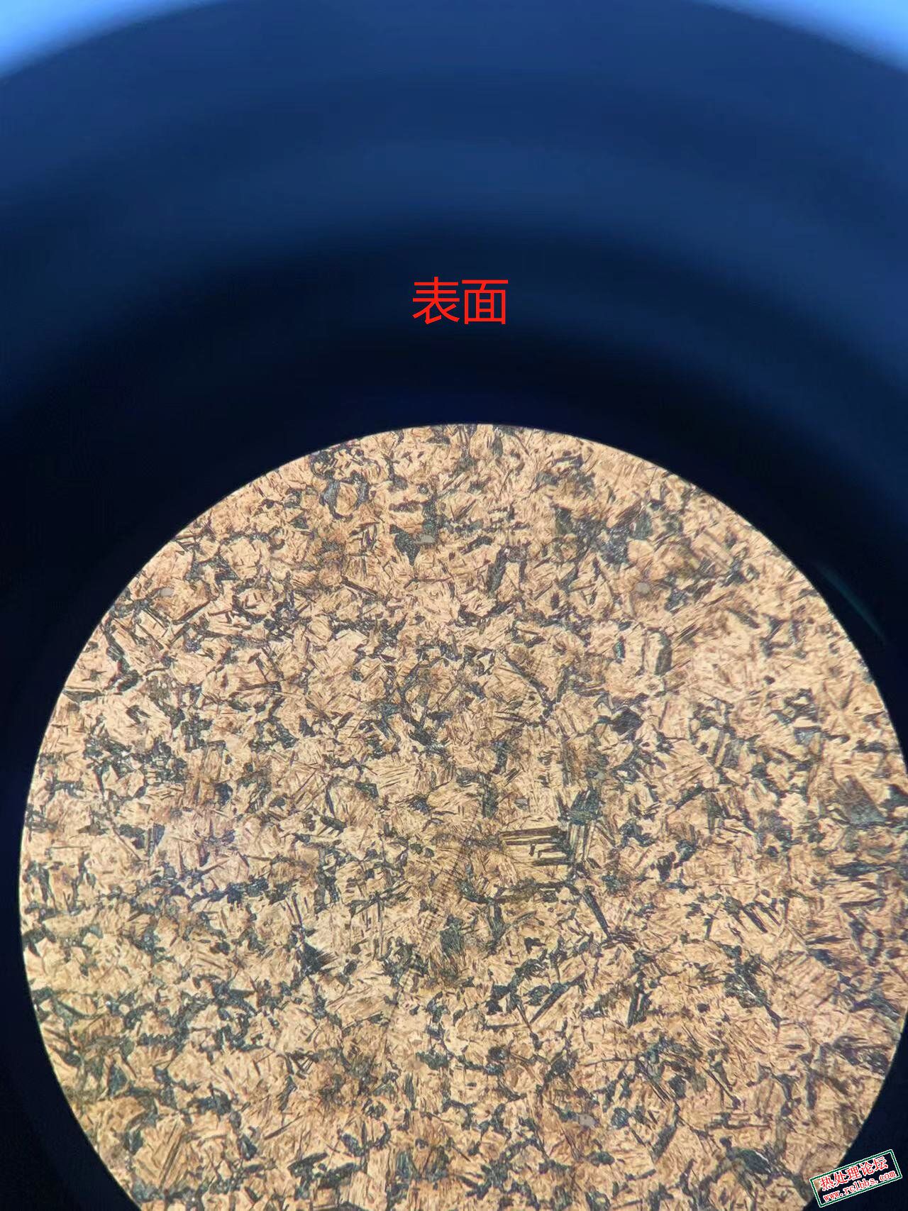 微信图片_20230406141730_proc.jpg