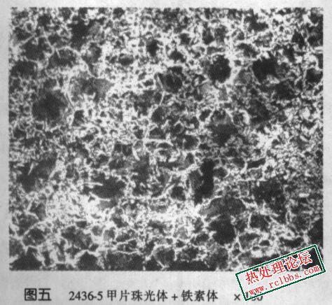 QQ图片20230422054805.jpg