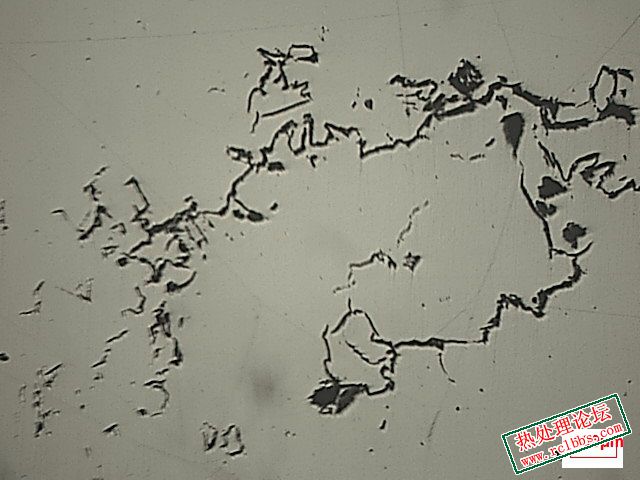 中心裂纹 5#  100X-001300.jpg