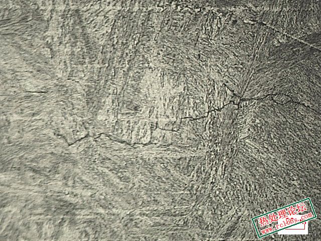 3# 端头沿晶 500X-001420000.jpg