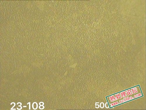 88FDB96F-8929-43E8-B55D-9A8CB29A7660.jpeg