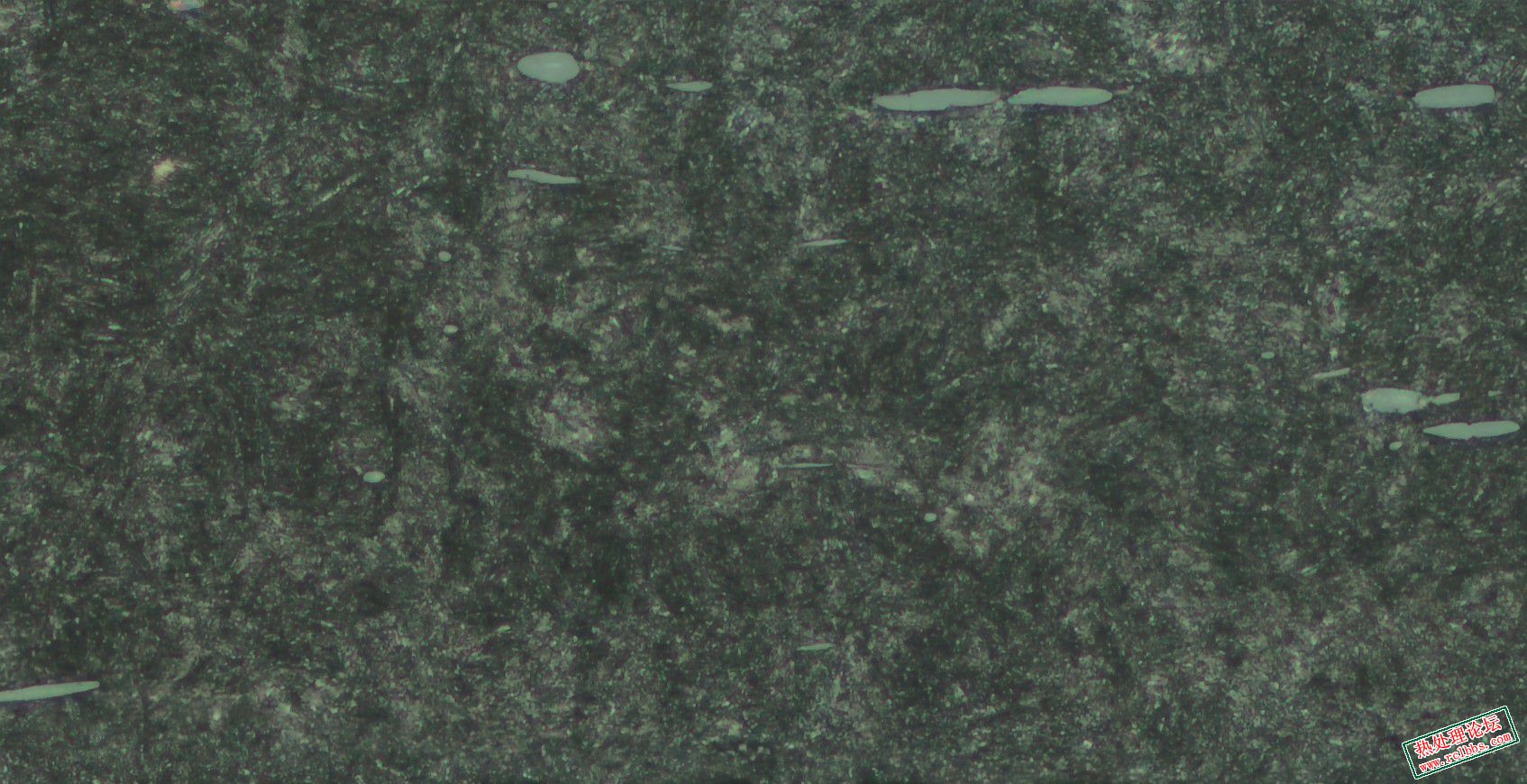 500x