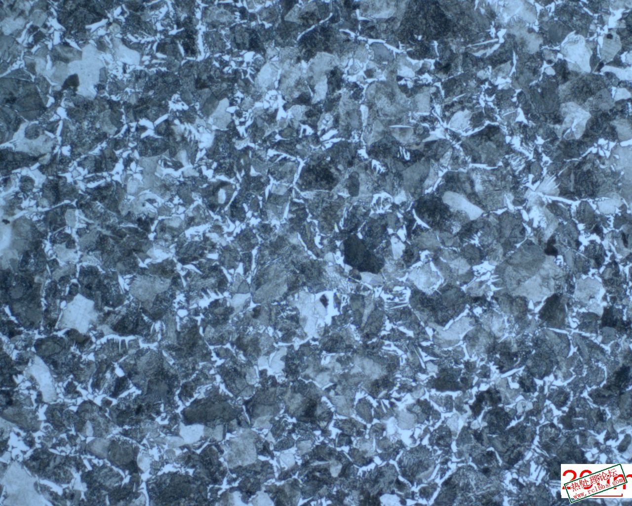 220825145747110167609l1221.jpg