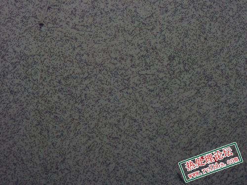 2B443BF7-3CB6-4D29-A5D0-BA37E85C939E.jpeg