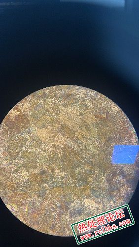 IMG_4098.jpeg