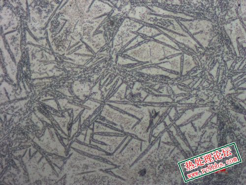 AF6D3269-B22E-428A-8D6D-A7824B84455A.jpeg