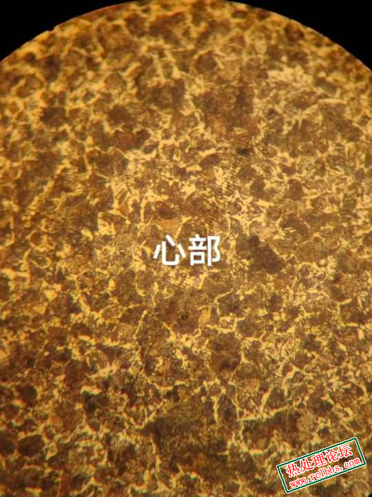 淬火并回火的组织5