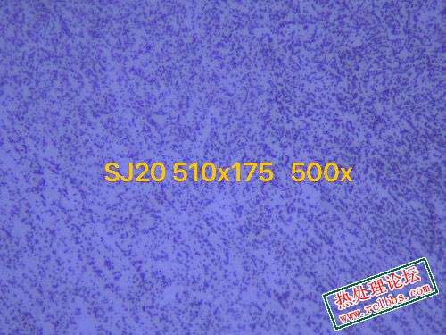 DD489E82-CD42-4DC0-BC4F-1816942AB67F.jpeg