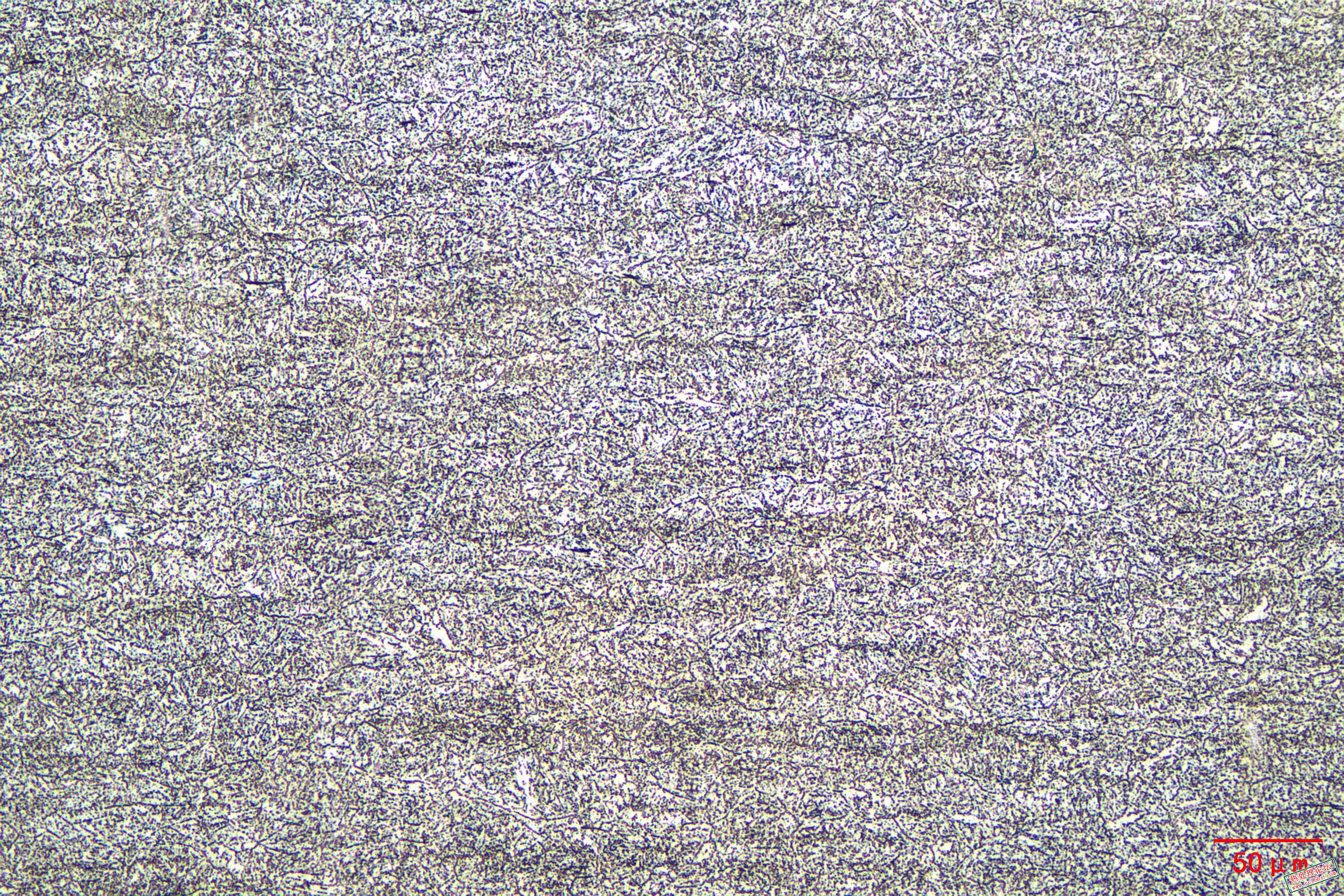 200X