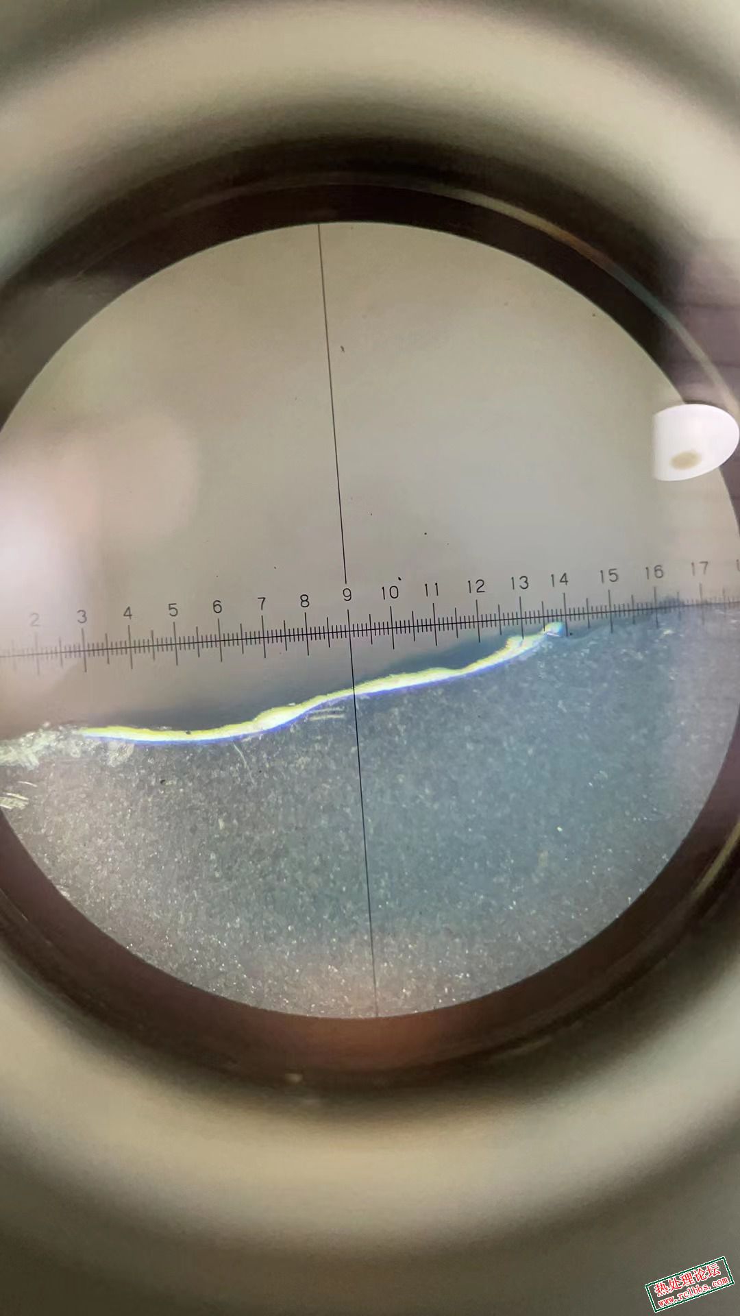 解刨后的组织状态