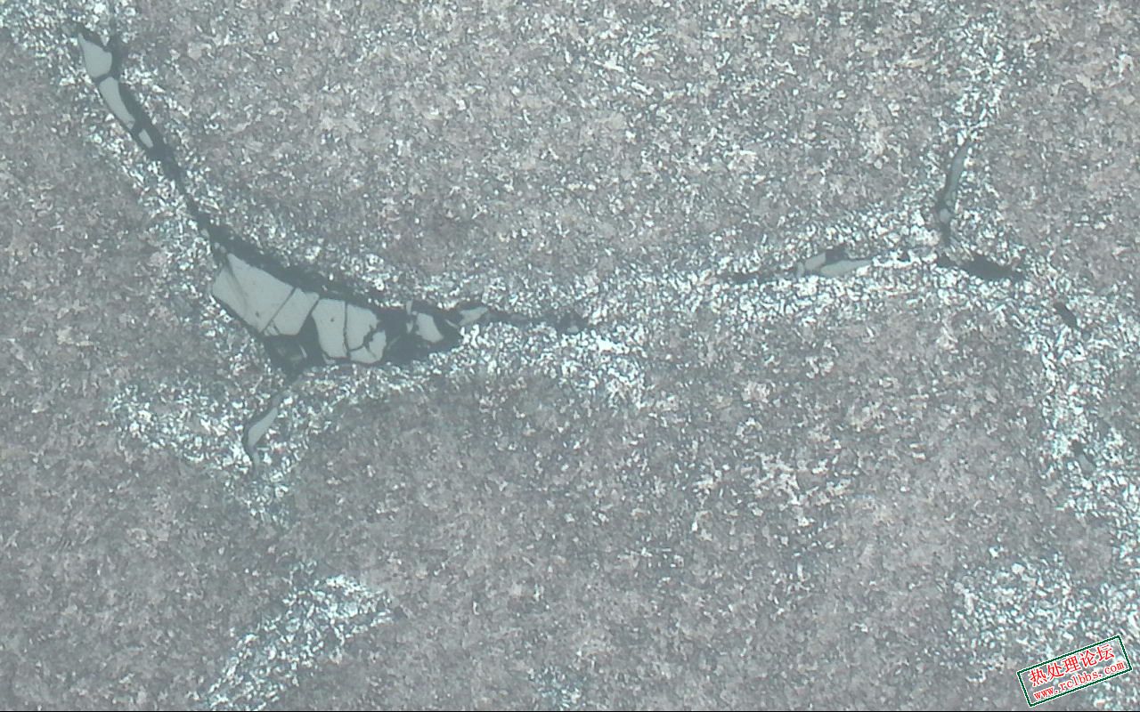 中频裂纹-100X-1.jpg