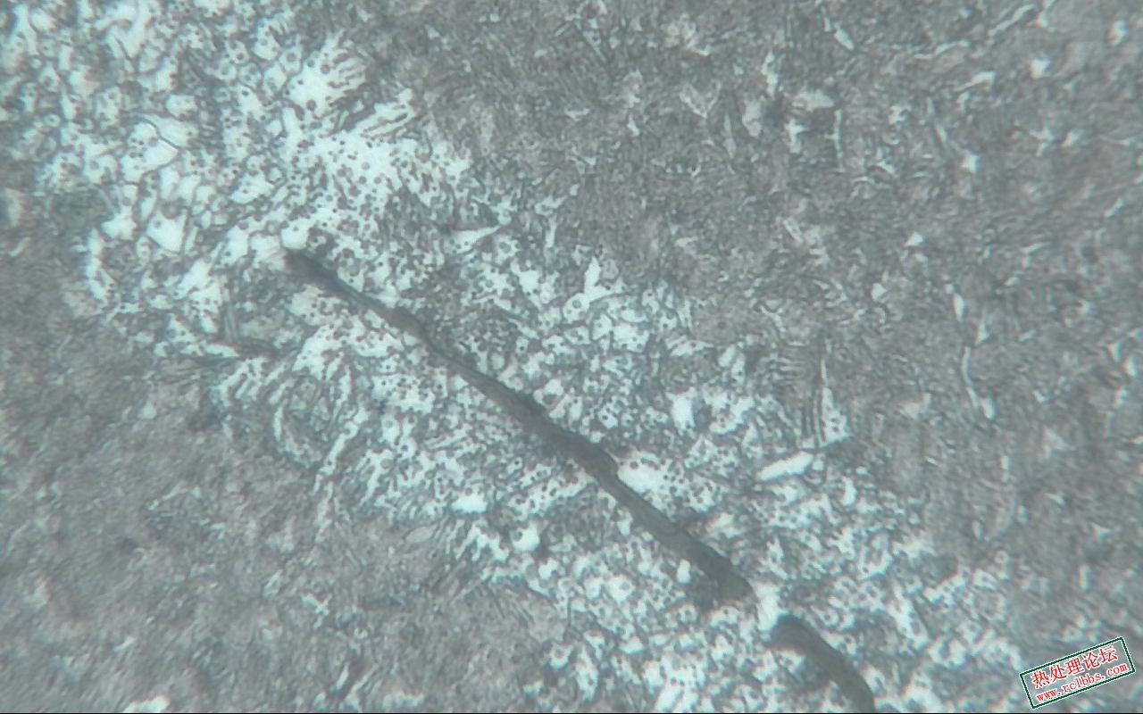 中频裂纹-400X-2.jpg