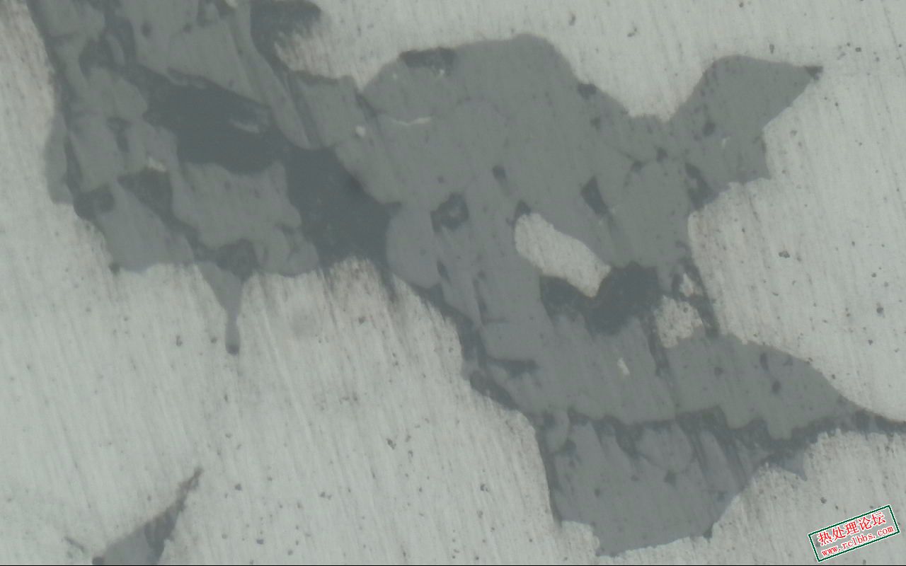 抛光-100X-2.jpg