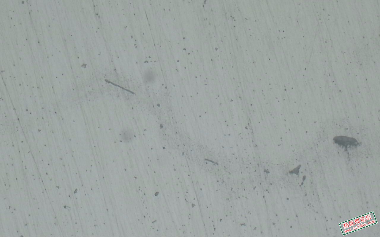 抛光-100X-6.jpg
