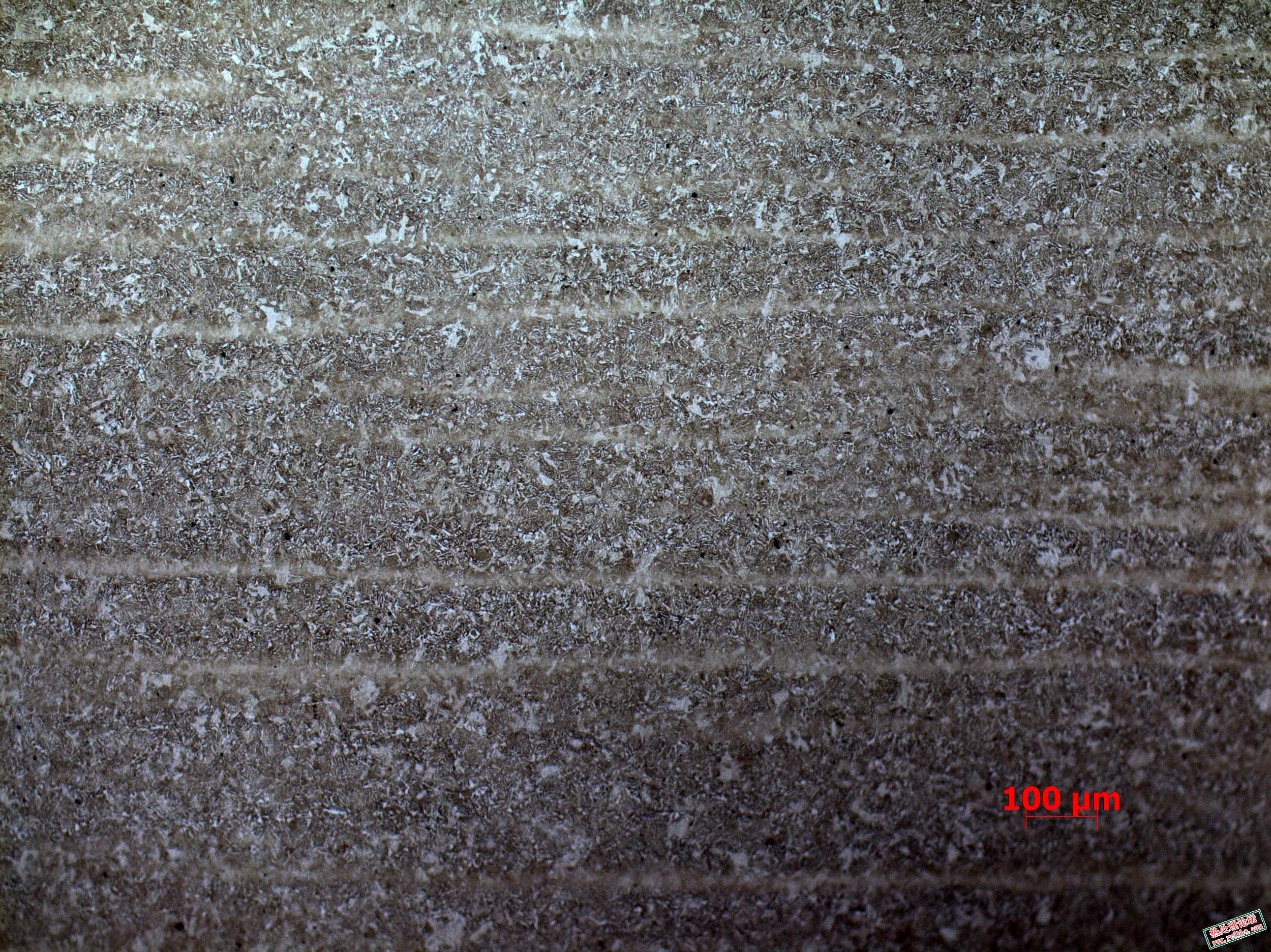 SNAP-144936-0023.jpg