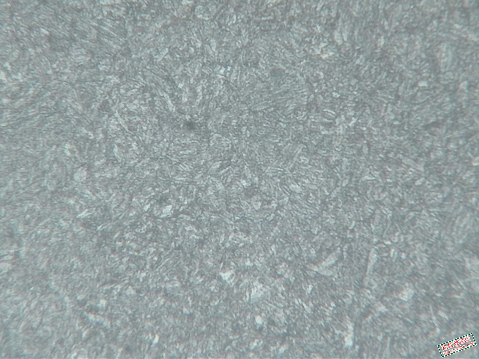 切片中频-400X-1.jpg