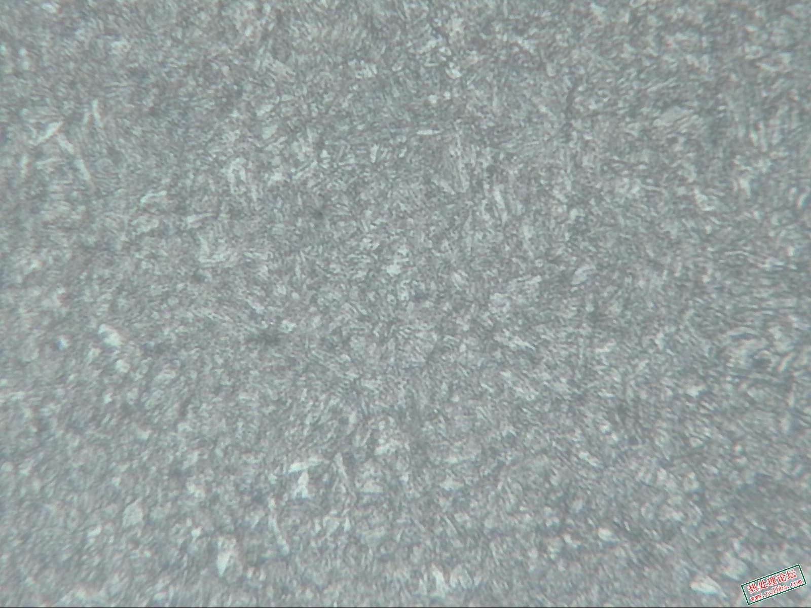 切片中频-400X-2.jpg