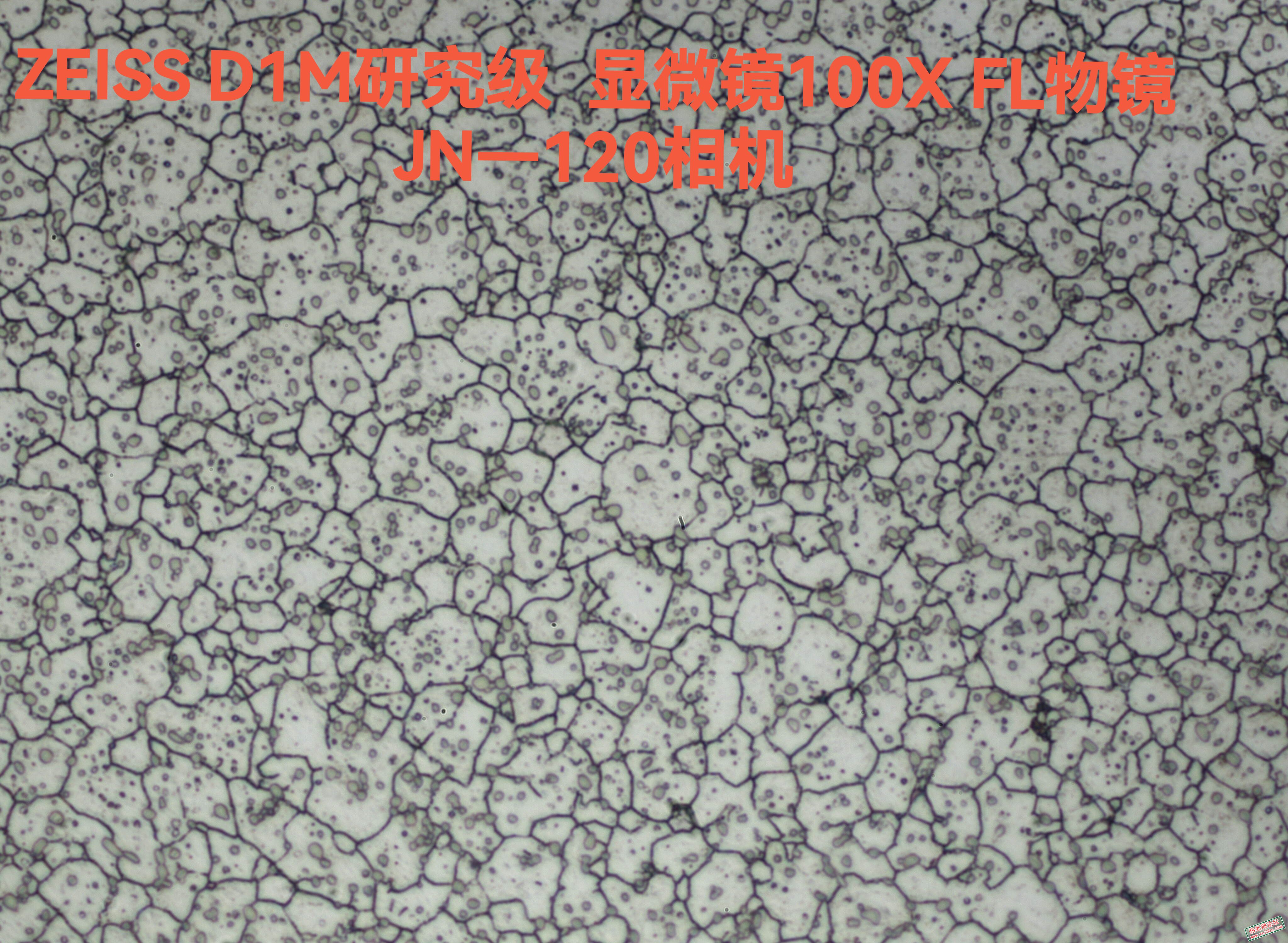 IMG_20231124_085753.jpg