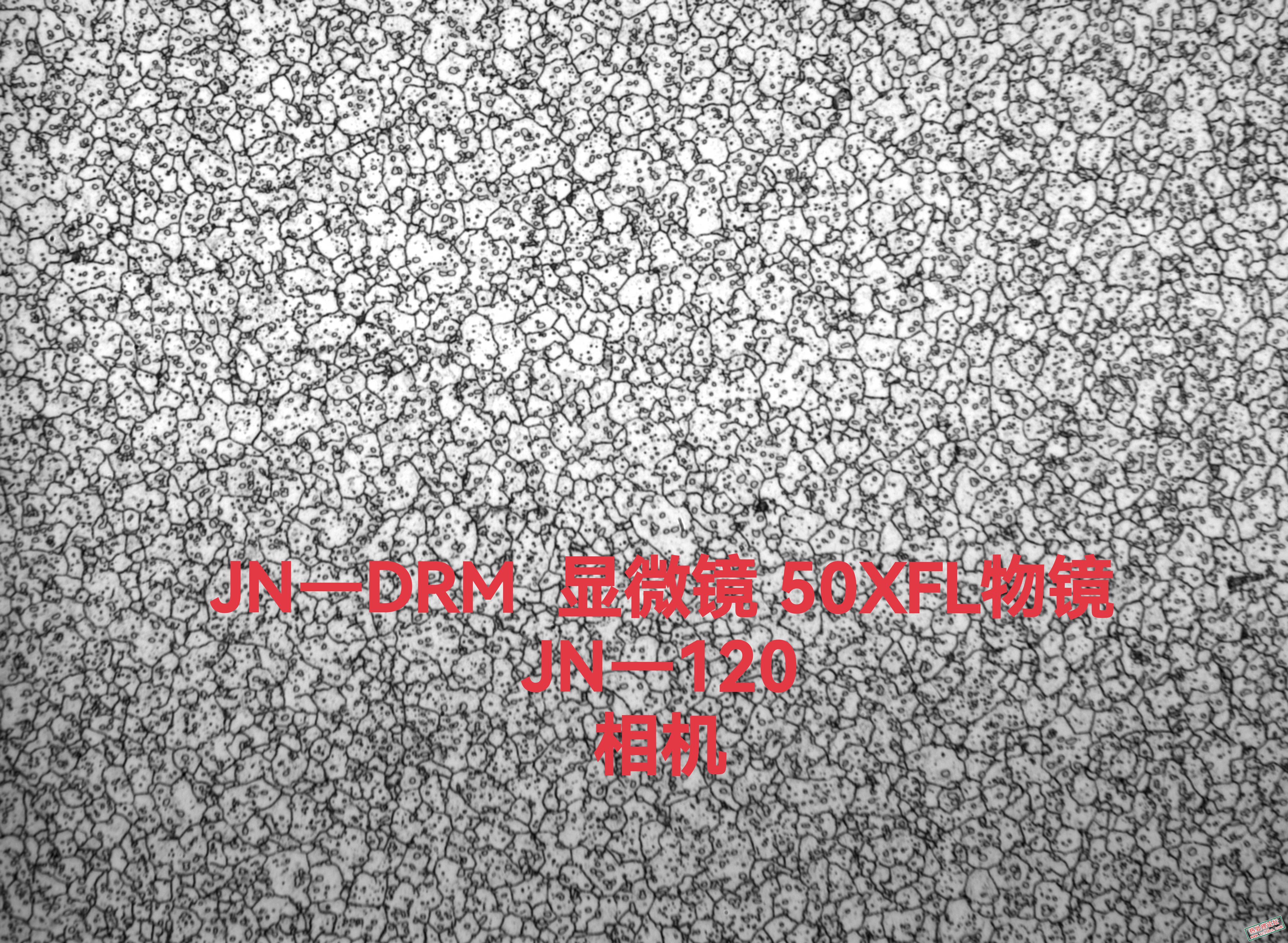 IMG_20231124_090151.jpg