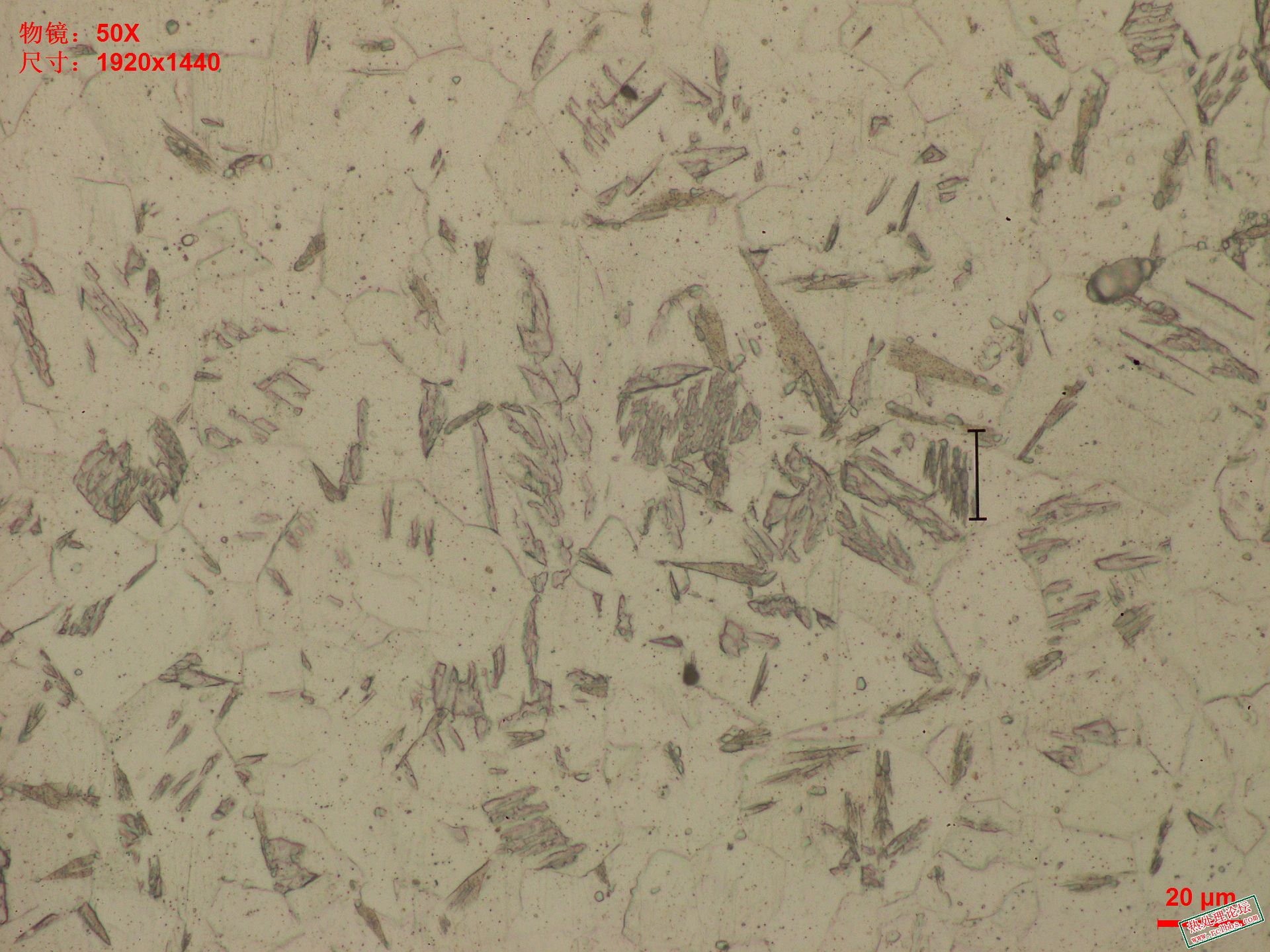 500X-4.JPG