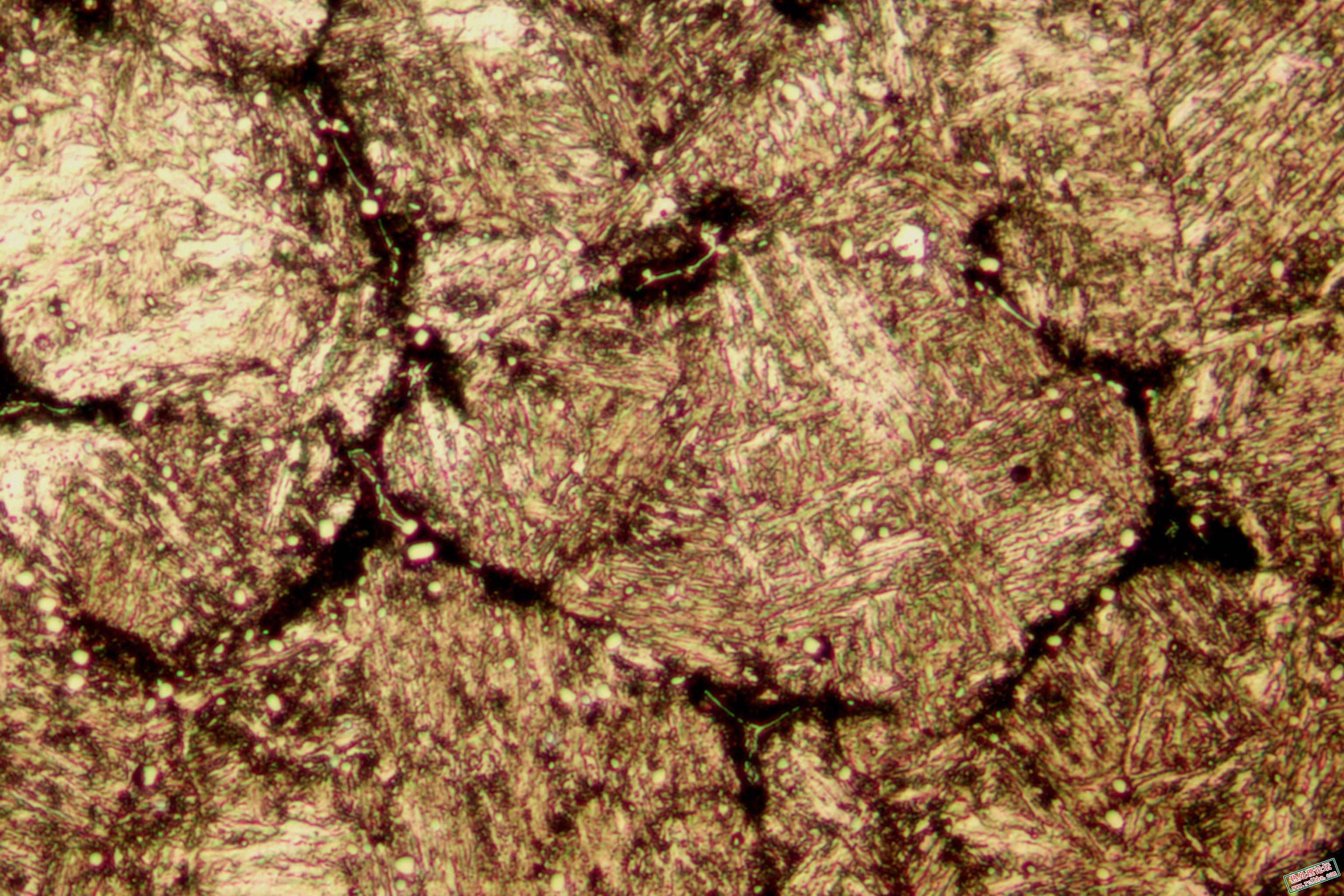 L-500.jpg