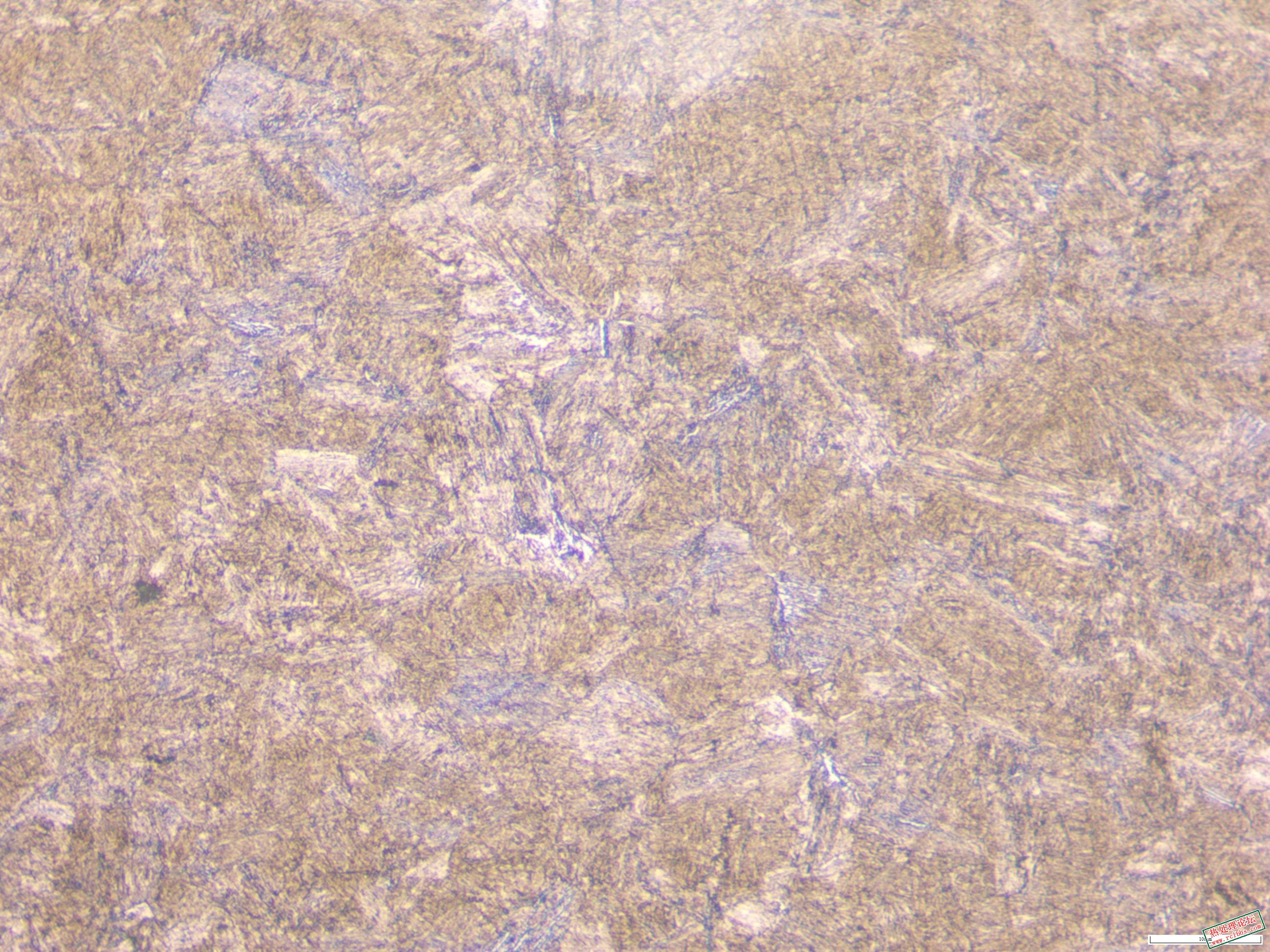 40CrNiMo  200x-01.JPG
