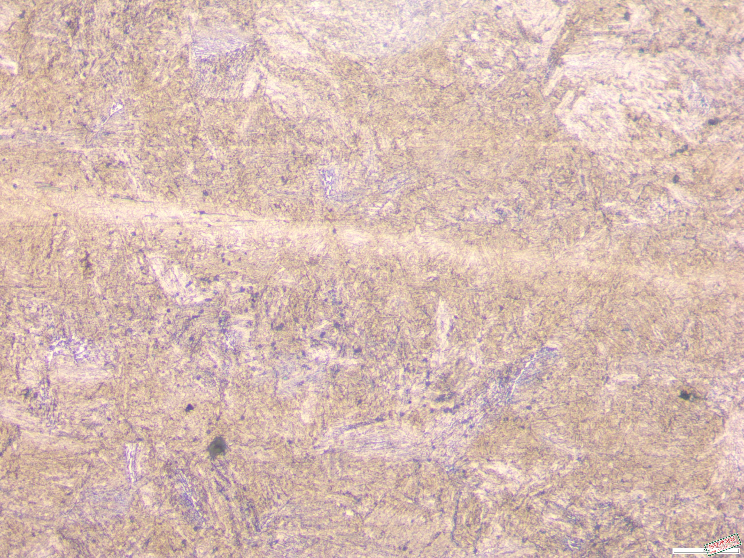 40CrNiMo  200x-02.JPG