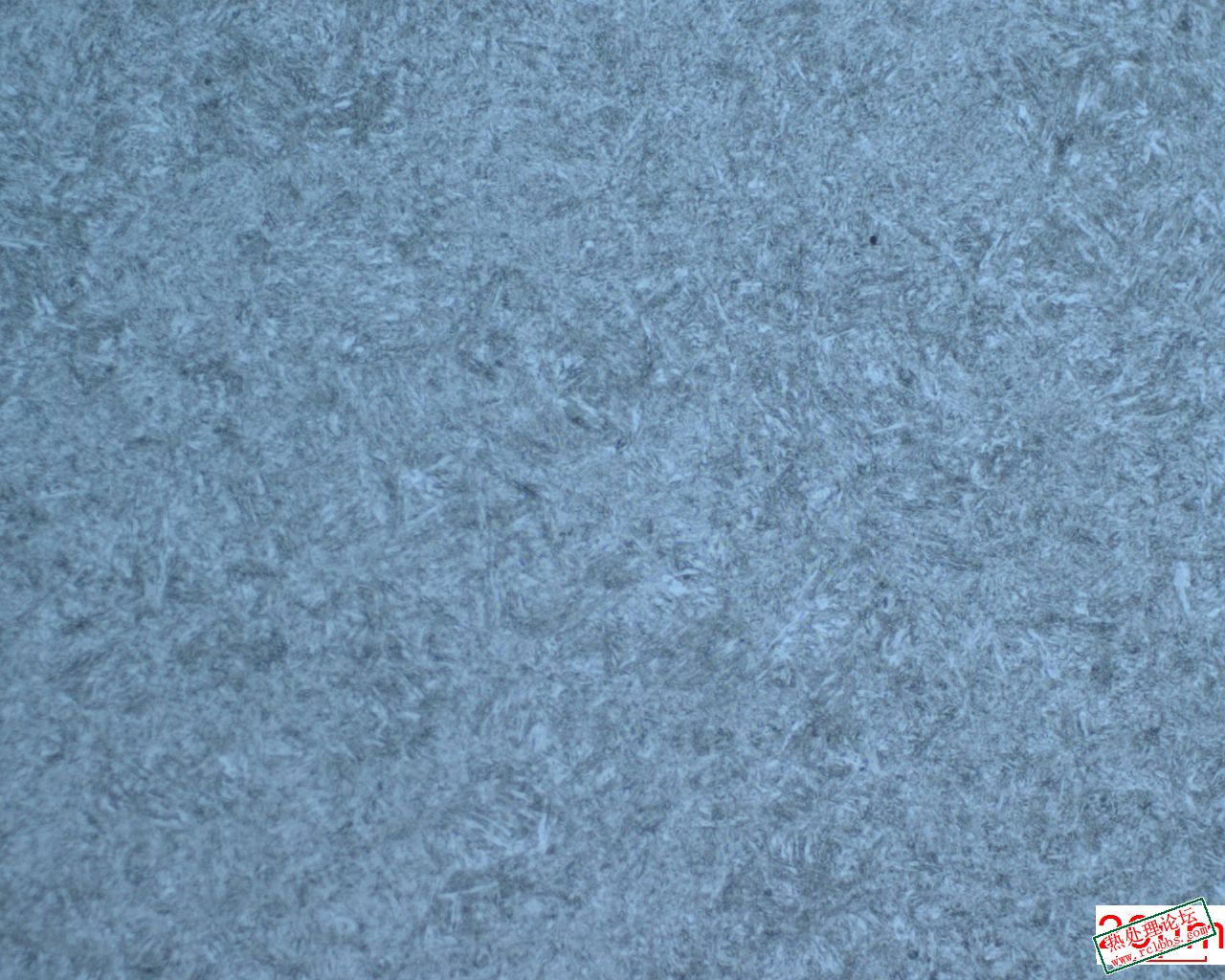 21012910230816403.jpg