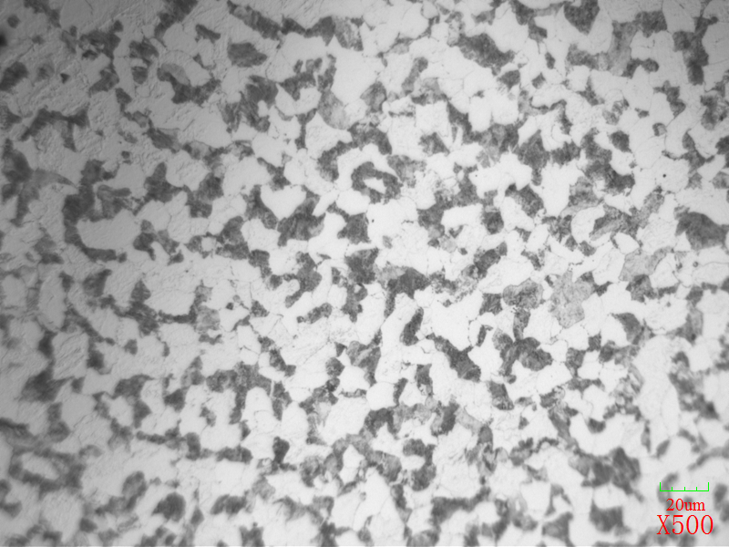 正火实验-20CrMo-23.0X3000-910℃正火-空冷-X500-中部.jpg