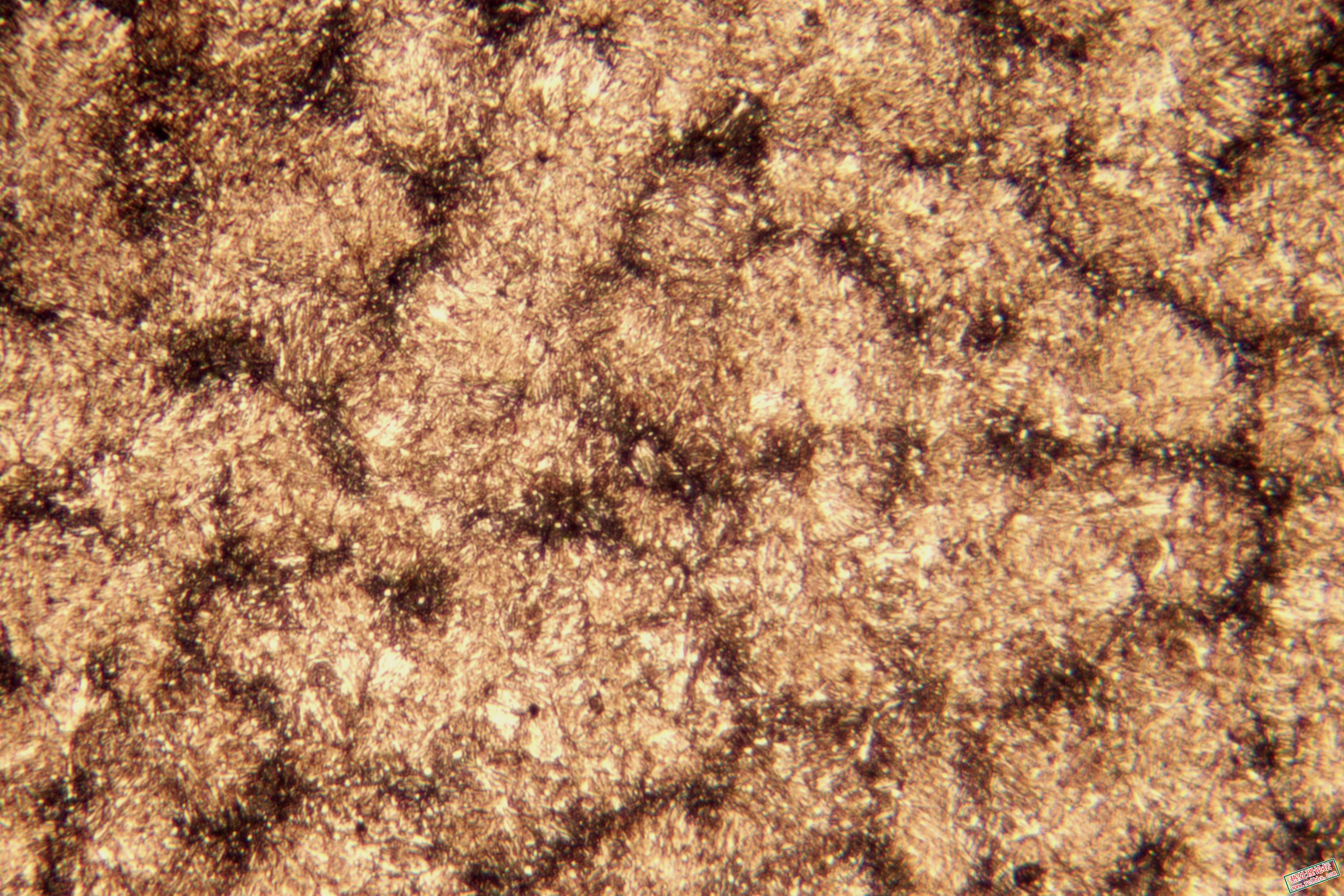 200-R.jpg