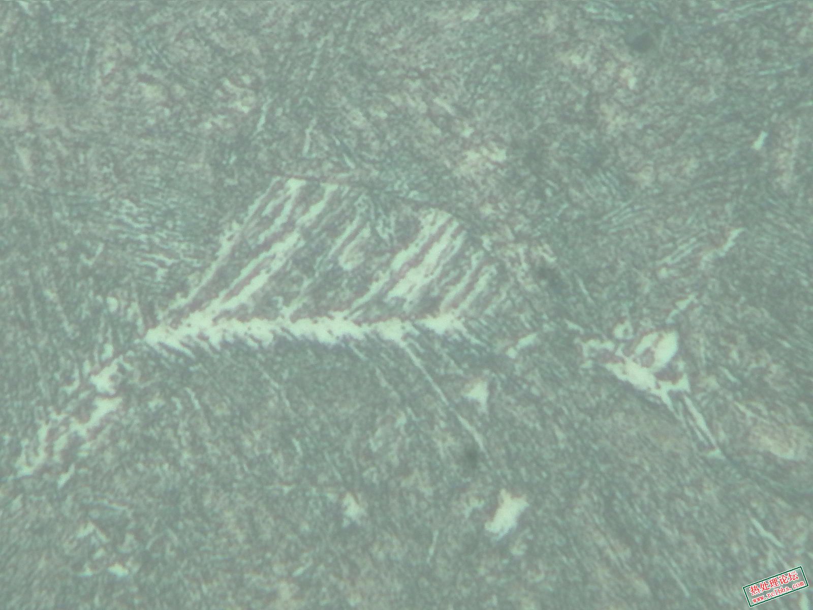 调质-500X-2.jpg