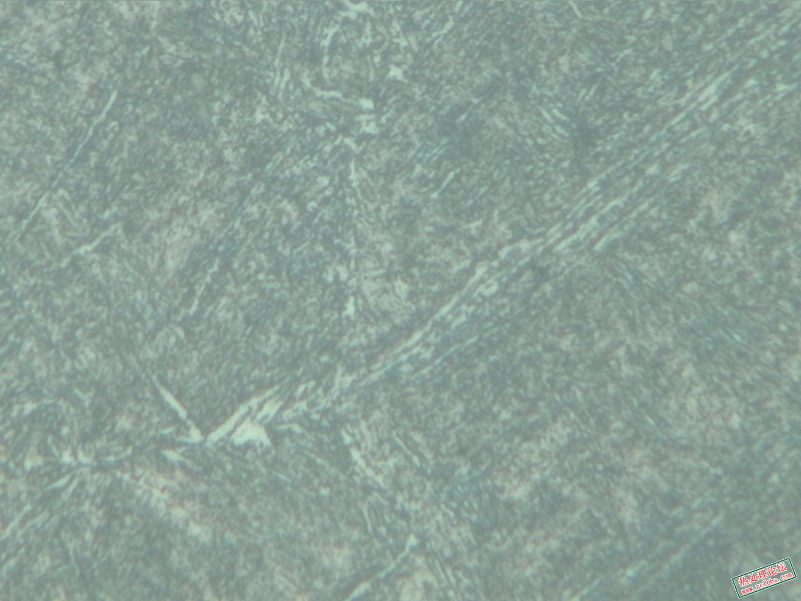调质-500X-3.jpg