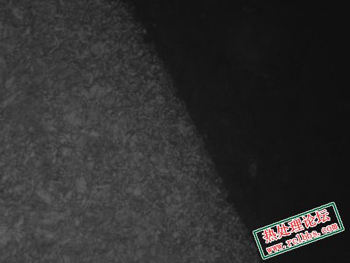 500x33.Jpg