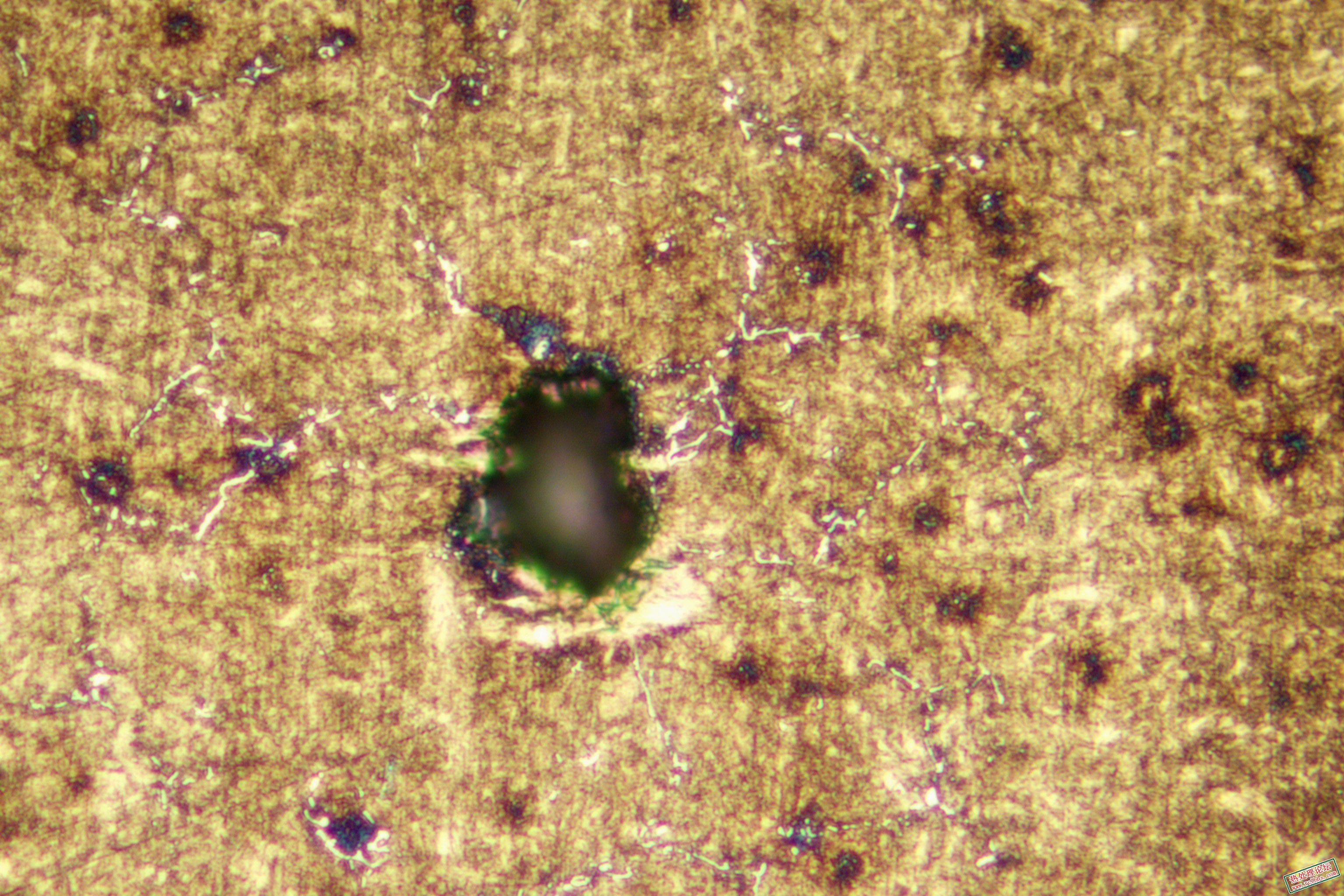 NB6925A-5-1.jpg
