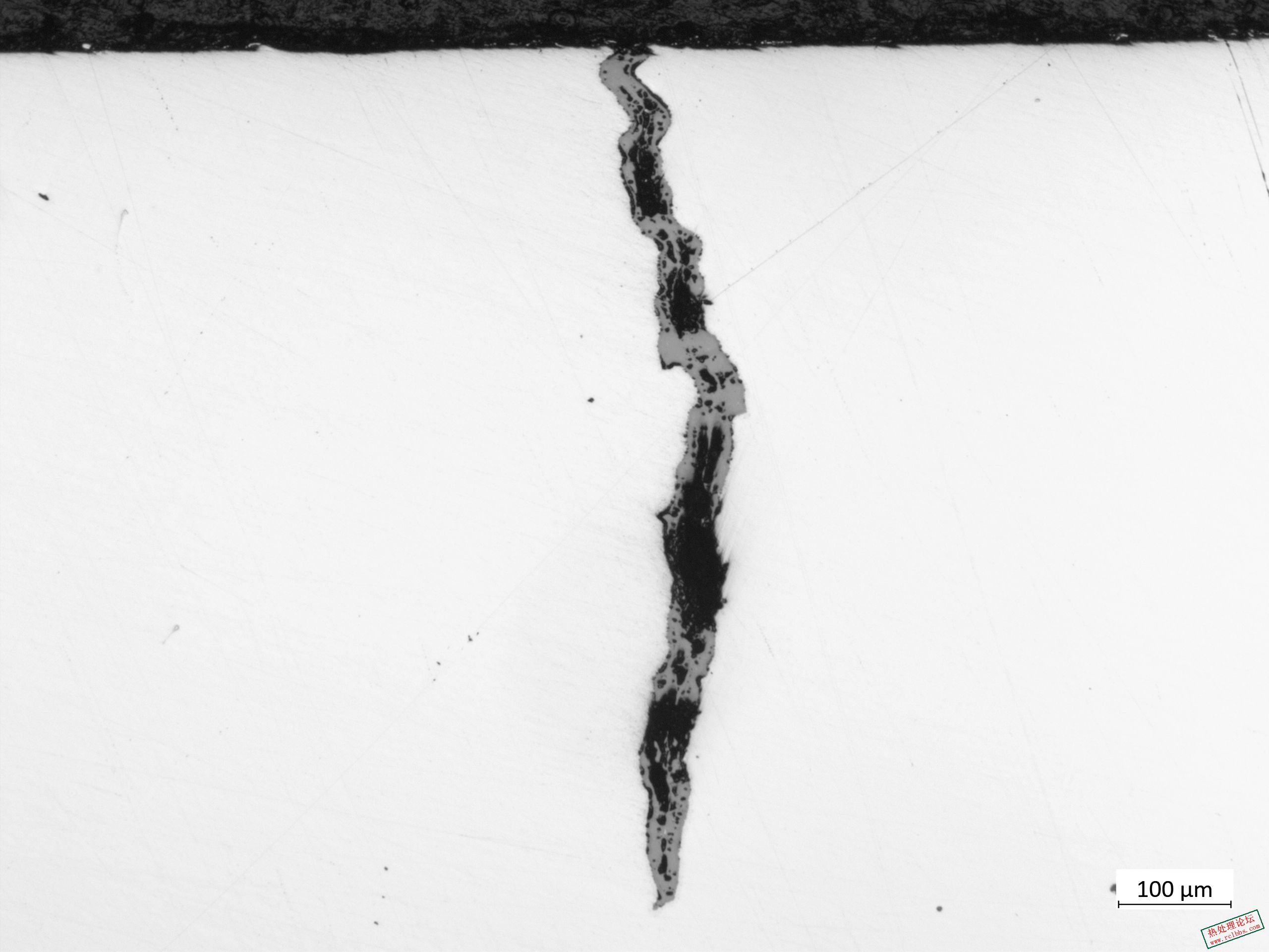 Image-01-01.jpg