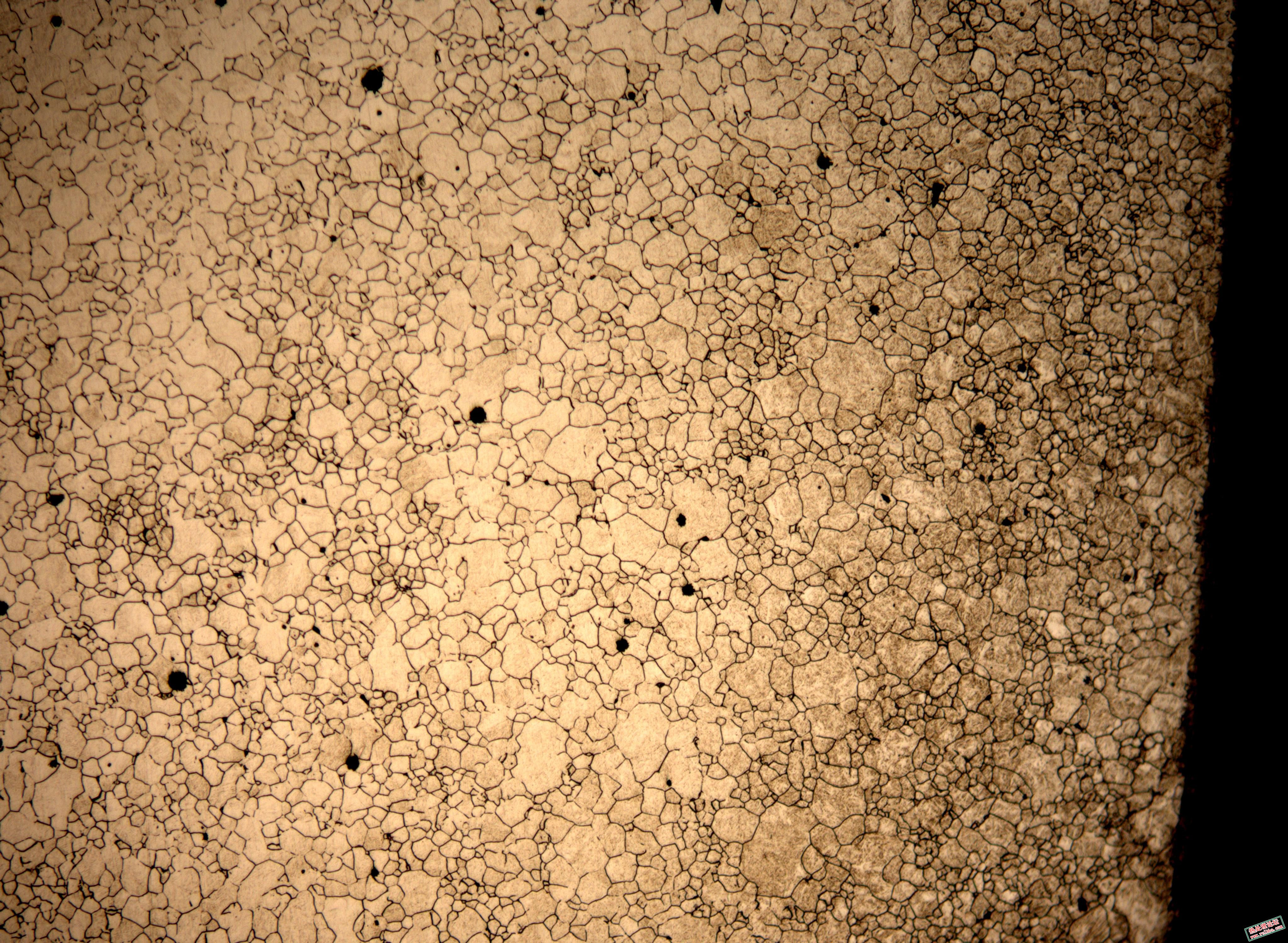 mmexport1708333129554.jpg