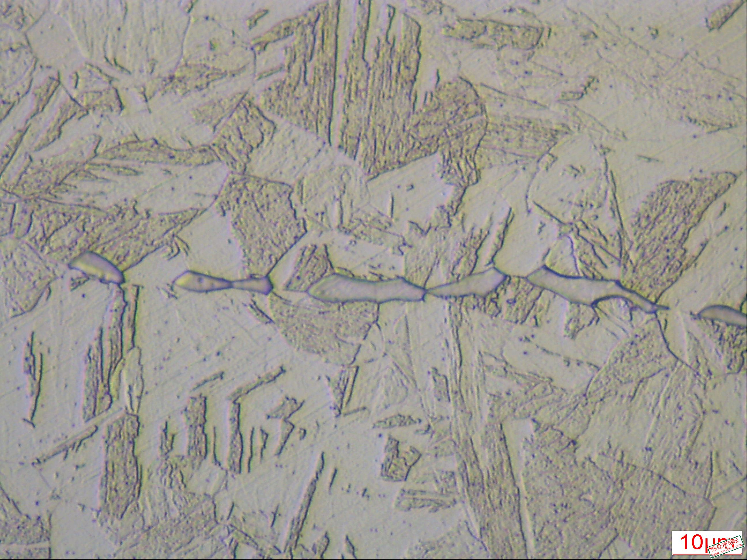 小样A-1000.jpg