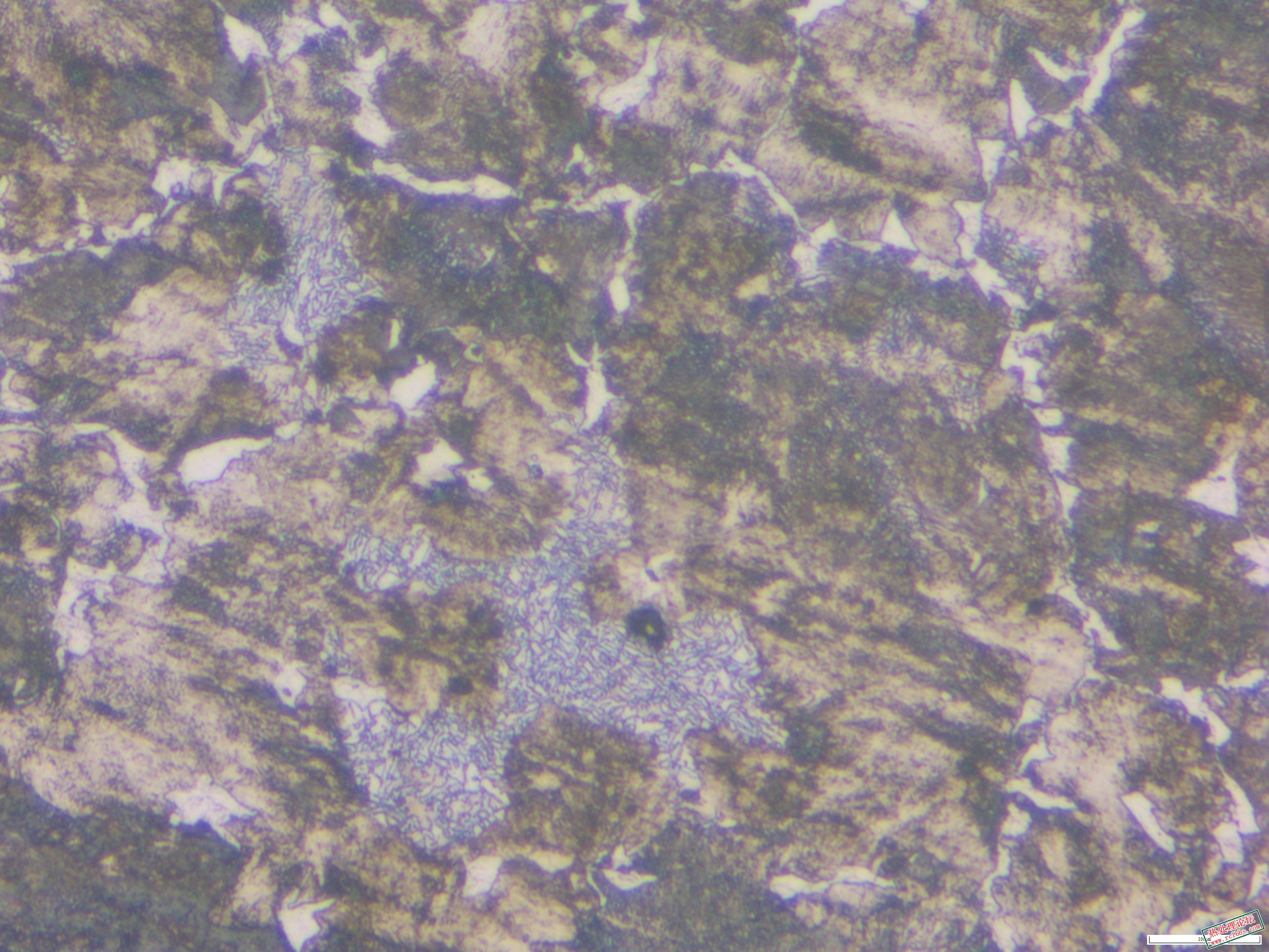 x500-02.JPG