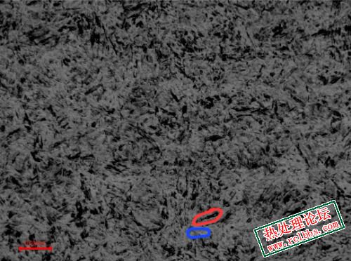 Screenshot_20240325_095455_Gallery.jpg